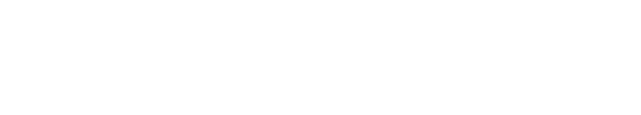 Traurednerin_font_W